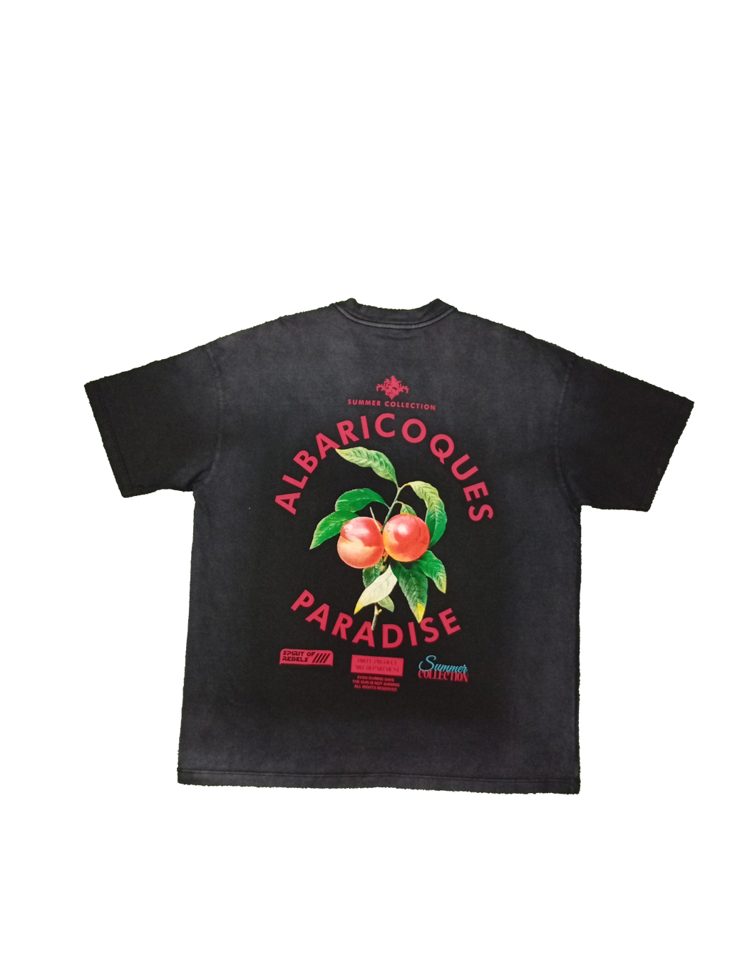 Baricoque Factee  .DP000061