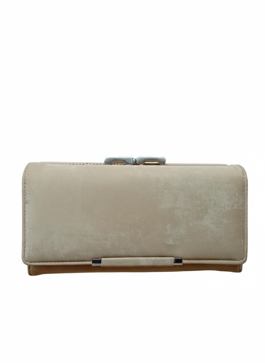 BILLETERA 225.1   . CH000095